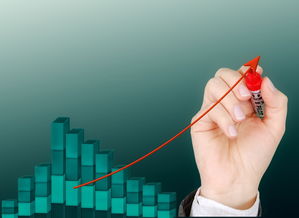 米兰体育官网登录入口-运动项目职业路径设计与发展研究，运动职业化