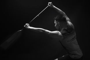 米兰体育平台-全民健身摄影作品展览走进体育馆大厅，体育运动摄影作品展