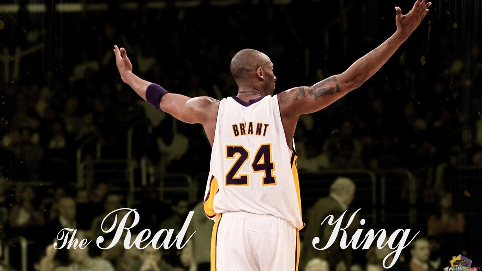 外媒：特朗普对援乌远程武器持开放态度，特朗普签署援助法案